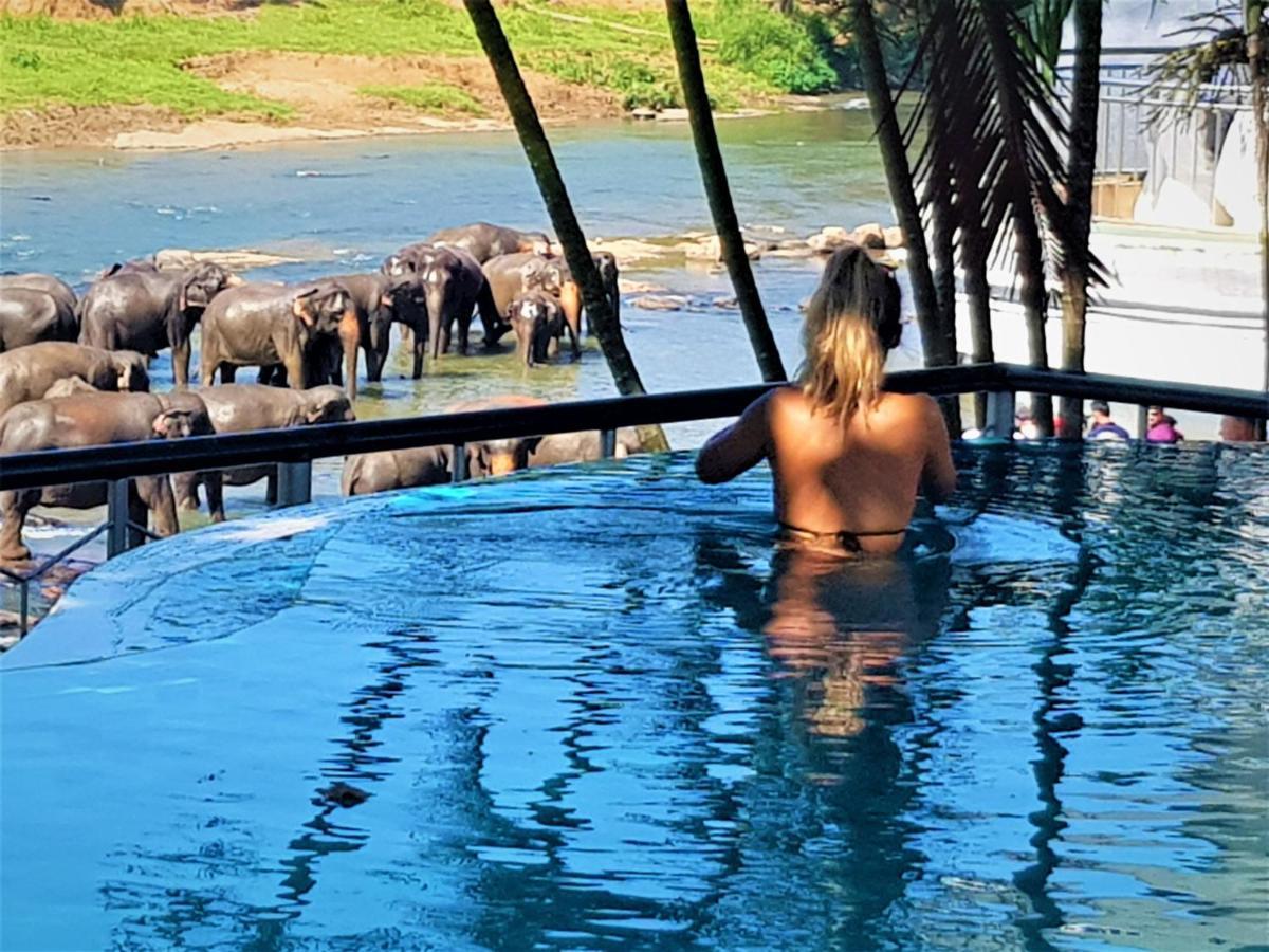 Hotel Elephant Park - New Deal! Half Off Airport Pickups Available Pinnawala  Exterior photo